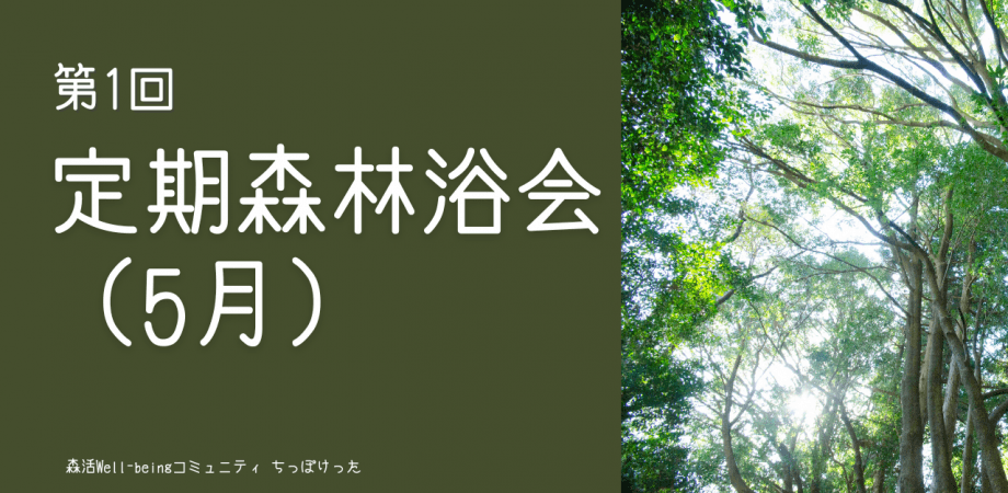 定期森林浴会（5月）ー経営者が集う森とウェルビーイングコミュニティ「ちっぽけった」ー