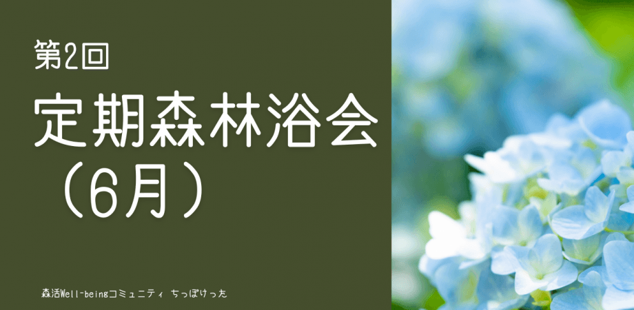 定期森林浴会（6月）ー経営者が集う森とウェルビーイングコミュニティ「ちっぽけった」ー
