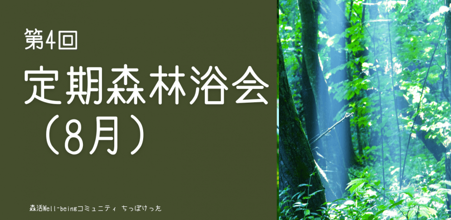 定期森林浴会（8月）ー経営者が集う森とウェルビーイングコミュニティ「ちっぽけった」ー