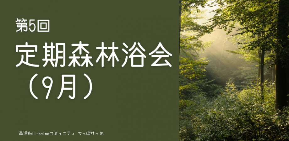 定期森林浴会（9月）ー経営者が集う森とウェルビーイングコミュニティ「ちっぽけった」ー