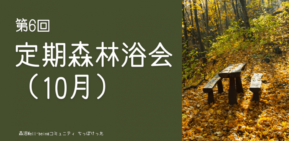 定期森林浴会（10月）ー経営者が集う森とウェルビーイングコミュニティ「ちっぽけった」ー
