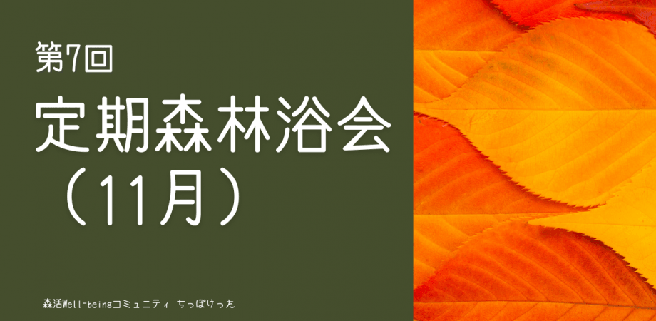 定期森林浴会（11月）ー経営者が集う森とウェルビーイングコミュニティ「ちっぽけった」ー
