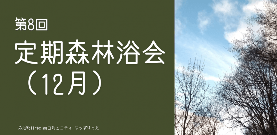 定期森林浴会（12月）ー経営者が集う森とウェルビーイングコミュニティ「ちっぽけった」ー