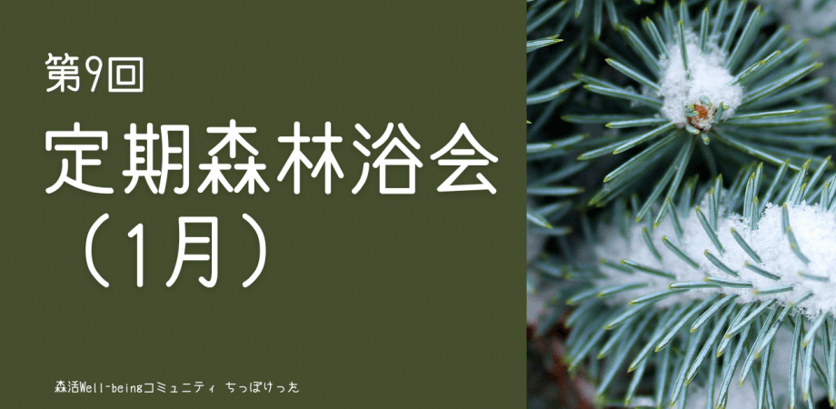 定期森林浴会（1月）ー経営者が集う森とウェルビーイングコミュニティ「ちっぽけった」ー