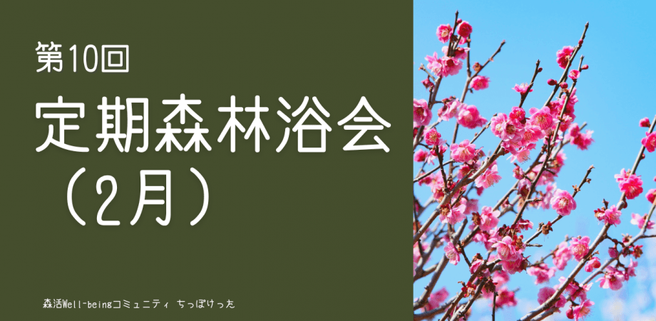 定期森林浴会（2月）ー経営者が集う森とウェルビーイングコミュニティ「ちっぽけった」ー