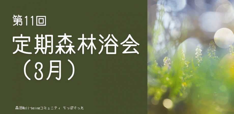 定期森林浴会（3月）ー経営者が集う森とウェルビーイングコミュニティ「ちっぽけった」ー