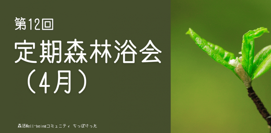 定期森林浴会（4月）ー経営者が集う森とウェルビーイングコミュニティ「ちっぽけった」ー